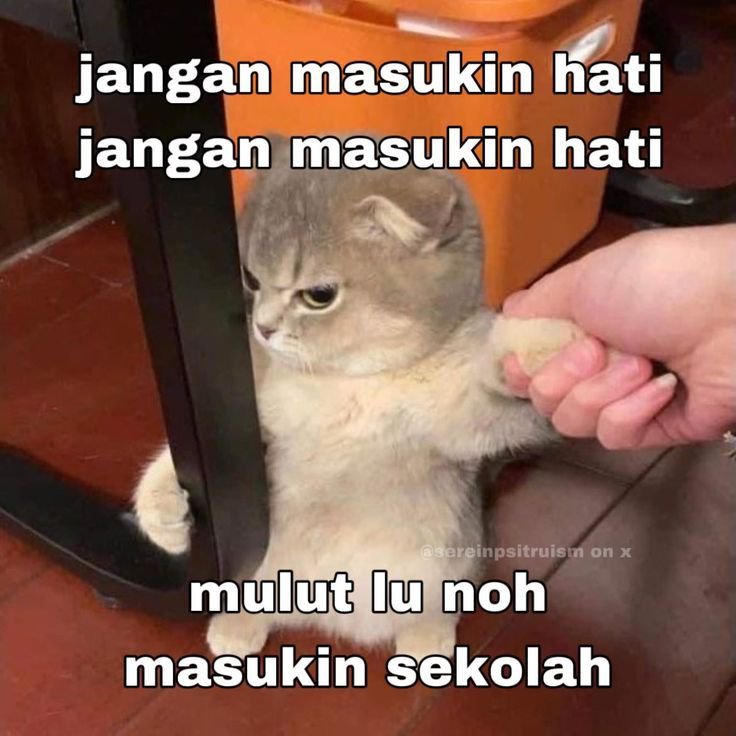 KucengTerbanggg's tweet photo. https://t.co/BMdRxk0XwP