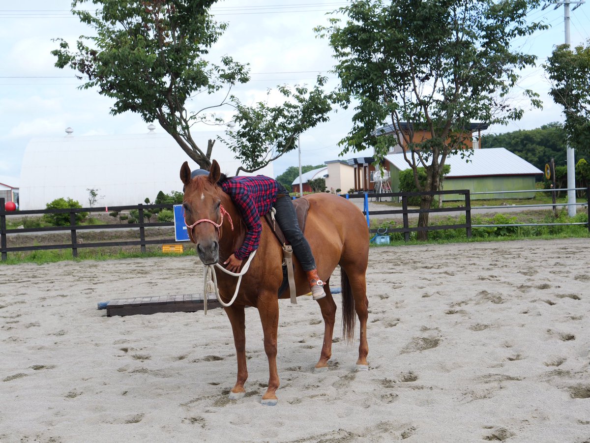 hmhorsemanship's tweet photo. リーンちゃんに癒されている人

#帯広
#かわいい
#クォーターホース
#牧場
#ヒロユキモチダホースマンシップ https://t.co/zZV1Zrffet