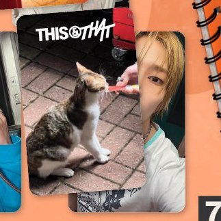 staysday6's tweet photo. the arirang kitty cards 🥹🥹 https://t.co/ypa8cWudGt