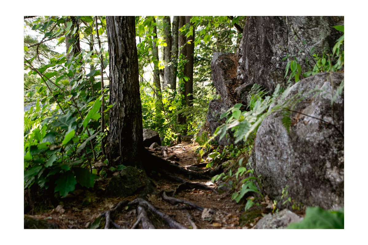 sleepy_slick's tweet photo. On the trail https://t.co/MgsM0K1HlS