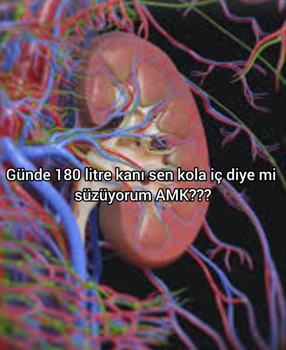 ANLIK tweet media