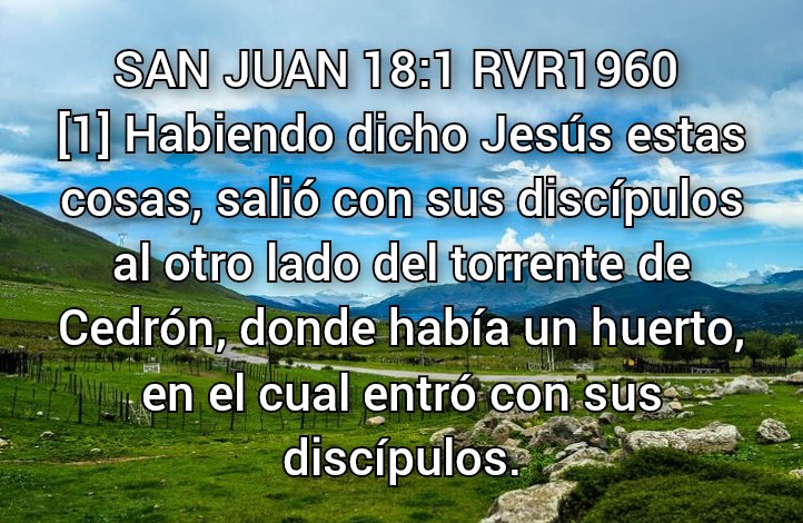 NEHEMIASLEAL's tweet photo. https://t.co/EN8jjlcs2f