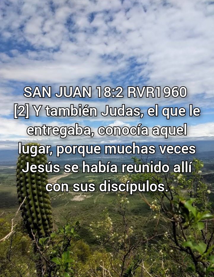 NEHEMIASLEAL's tweet photo. https://t.co/EN8jjlcs2f