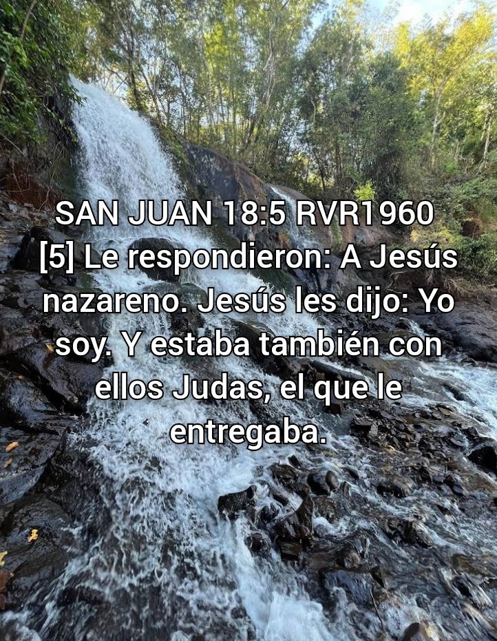 NEHEMIASLEAL's tweet photo. https://t.co/ohUsiw9gzc