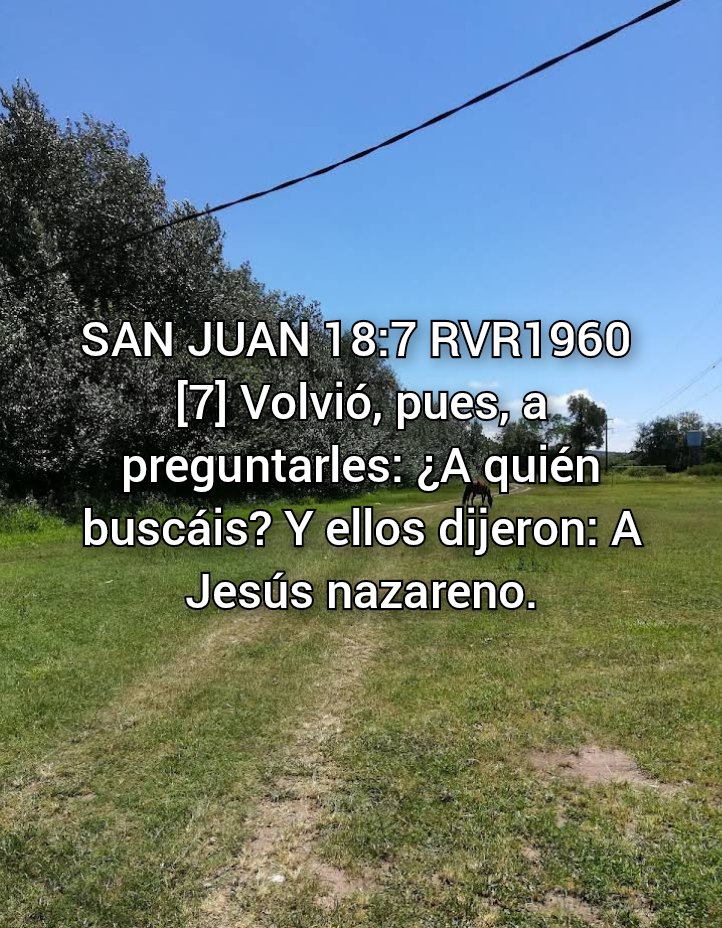 NEHEMIASLEAL's tweet photo. https://t.co/ohUsiw9gzc