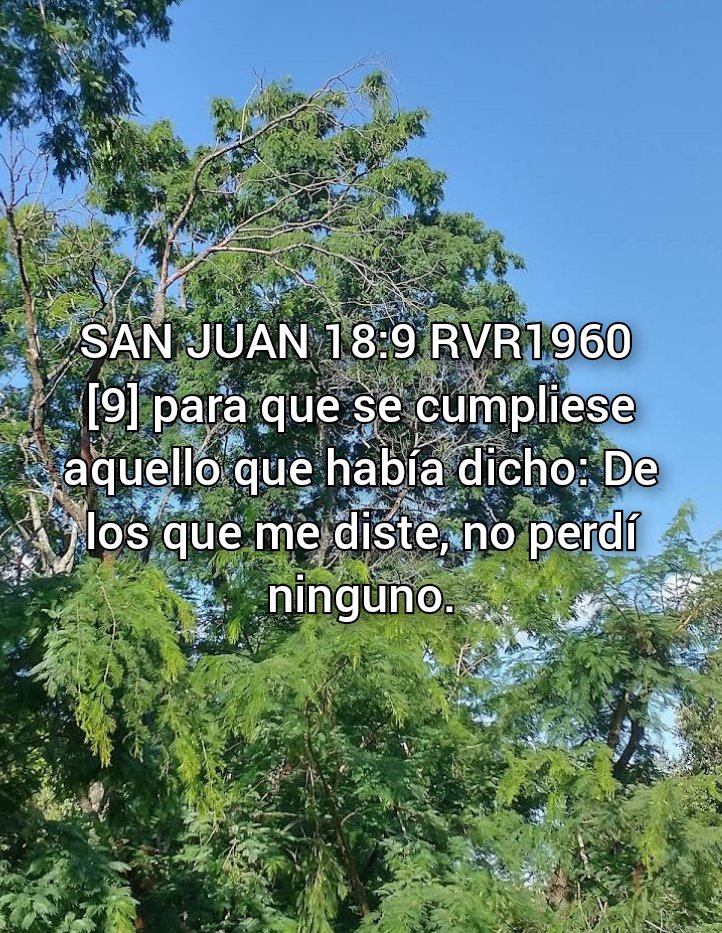 NEHEMIASLEAL's tweet photo. https://t.co/onHl9yDvR2