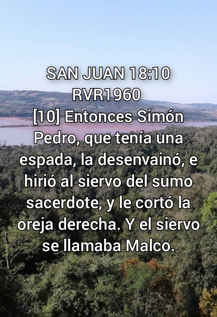 NEHEMIASLEAL's tweet photo. https://t.co/onHl9yDvR2
