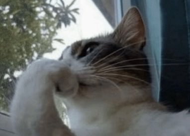 nnattds's tweet photo. digo que no me importa y estoy cada dos minutos entrando a los chats archivados https://t.co/oMU5Aek0Gj