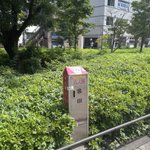 Photo by KOZO Yamada｜課題解決ゲーム事業｜山田耕三 (@kozo_tx)