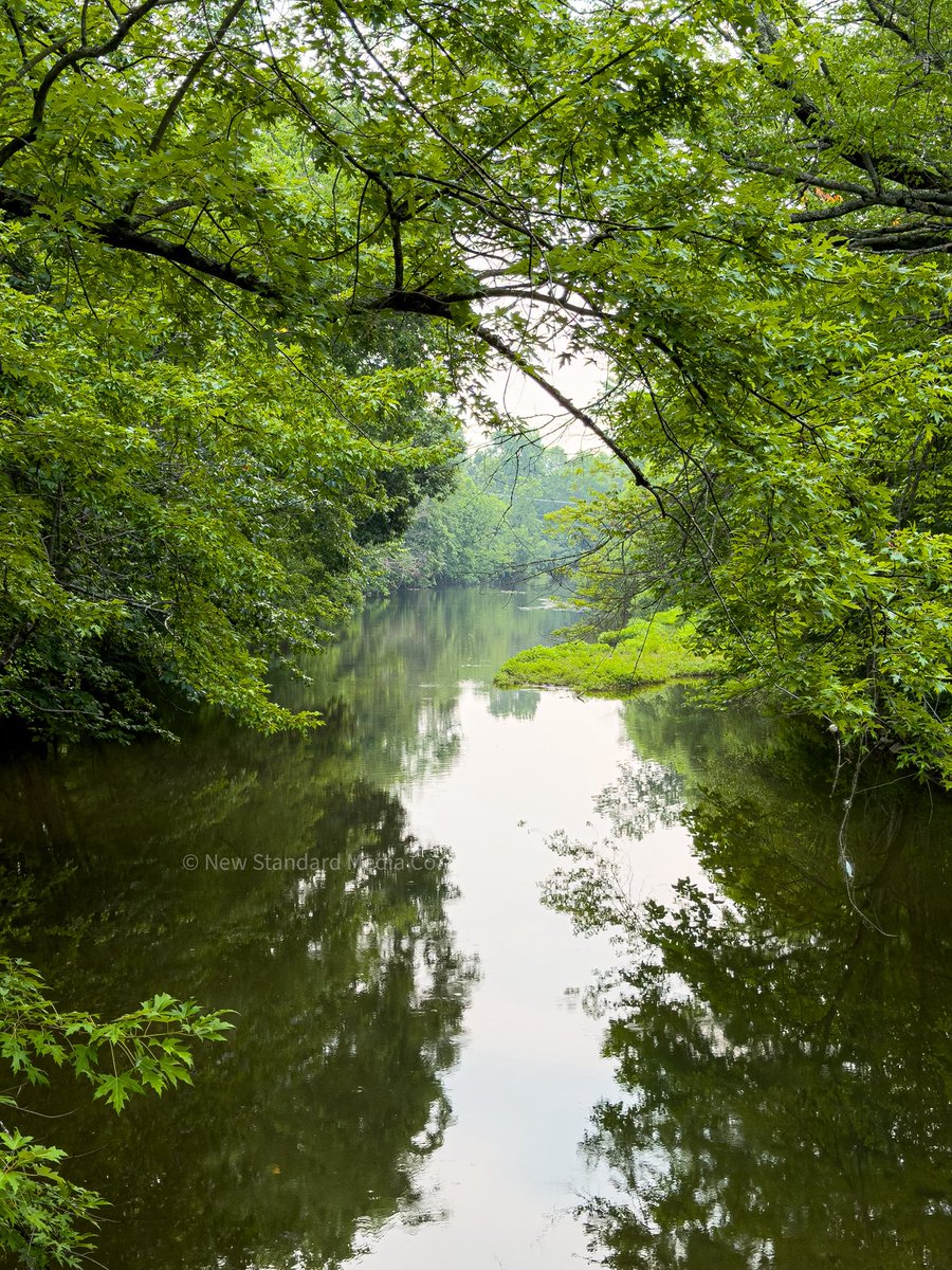 FieldNoteInfo's tweet photo. Pennsylvania streams are living highways, carrying cold, oxygen-rich water that supports trout, salamanders, and countless insects. 🌿

📸 Follow for more wild PA!

#Pennsylvania #Nature #Creeks #Wildlife #photography #fypシ゚viral #fyp #写真 https://t.co/5z98m44Y4W