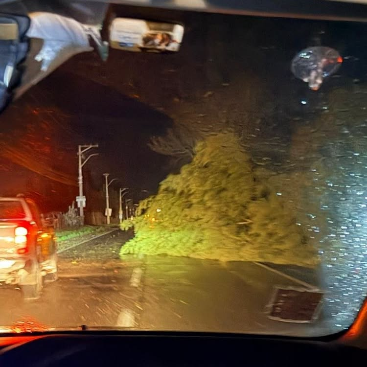 Victor_Curico's tweet photo. | #SistemaFrontal: 

#Rauco
Caída de árbol en ruta J-60, altura de condominio Alto Las Rosas, una pista Habilitada. https://t.co/AyWDP5umVT