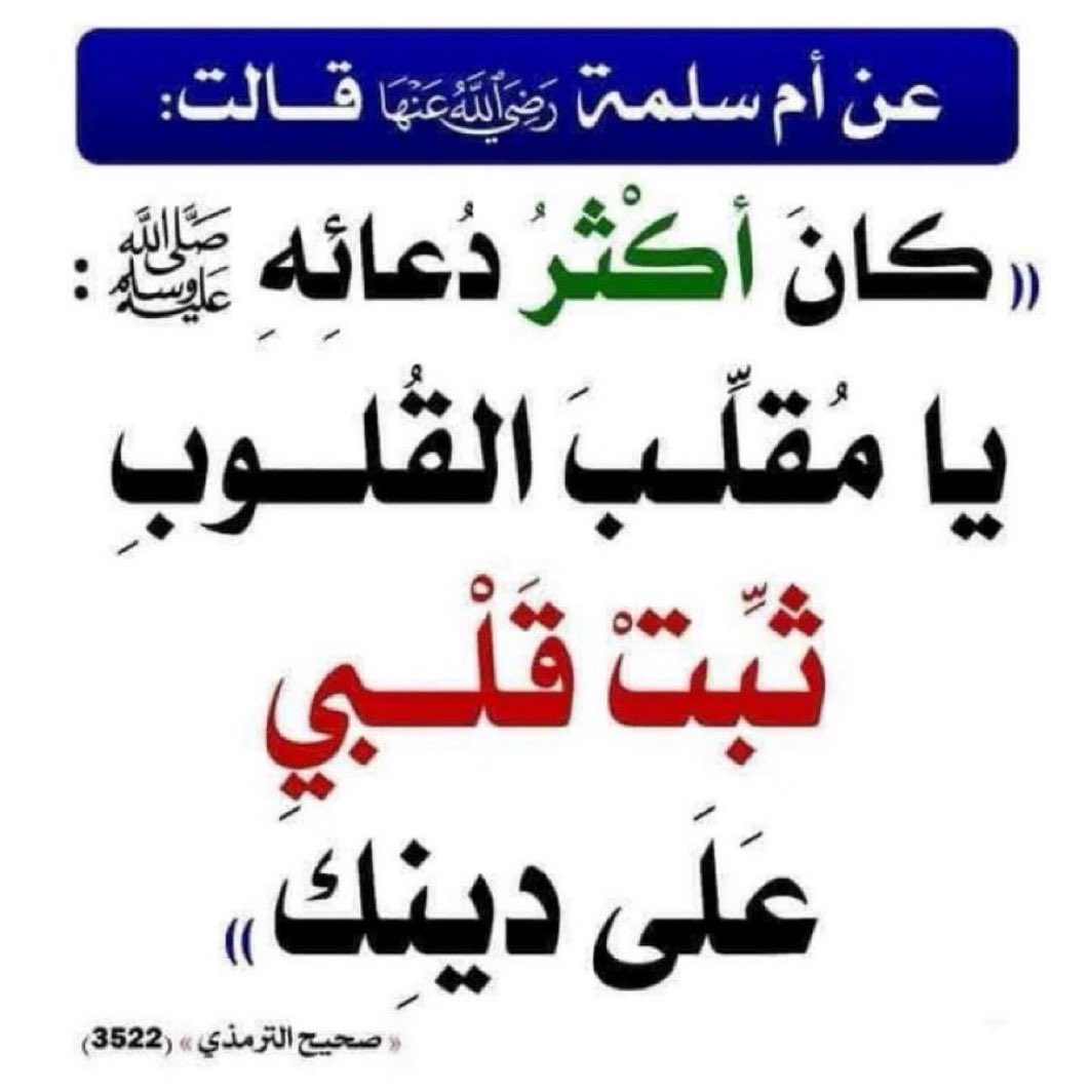 abuabdullah99x0's tweet photo. https://t.co/gpVIvPKrSx
