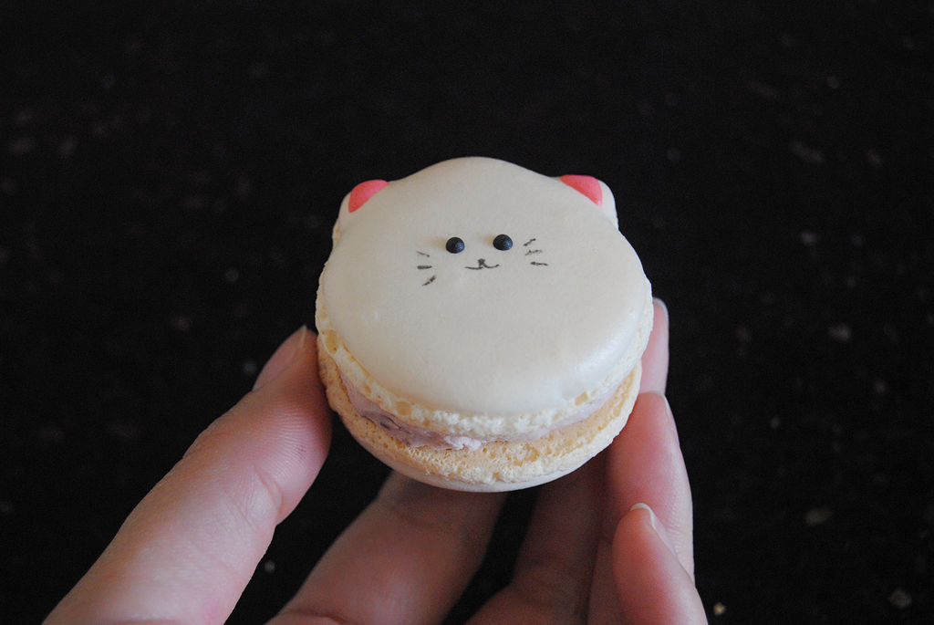 meowmeowL0VE's tweet photo. 周末别宅家啦！试试随手画简笔画，线条歪歪扭扭也没关系，专注当下的十几分钟，是给生活加的小色彩~ https://t.co/h2421zjwEb
