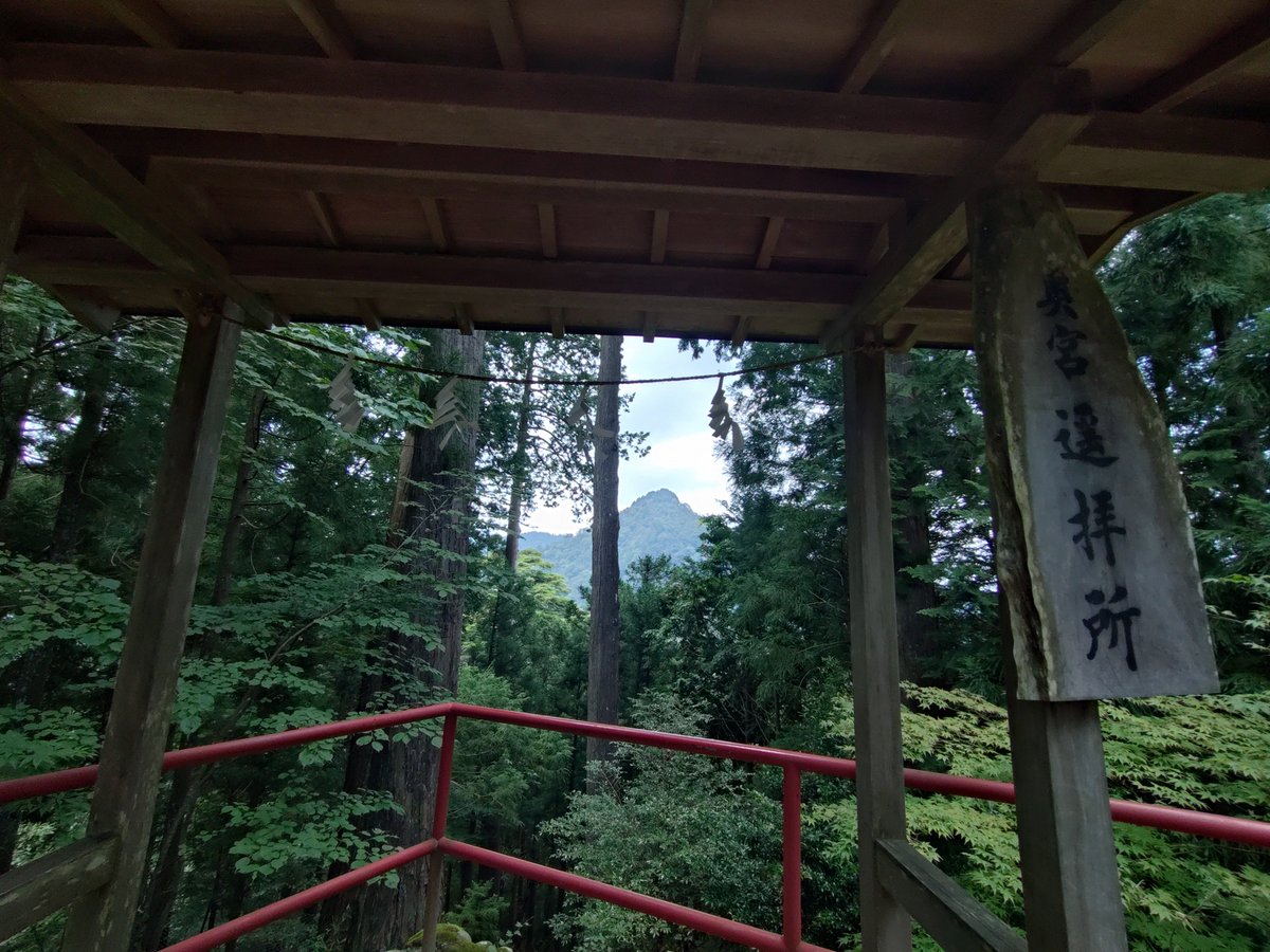 fujinoxx's tweet photo. 昨日だけど「御嶽山の肝が冷えるあんな話こんな話展」👻とレンゲショウマ見てきました🌷
ケーブル一緒に乗ってきた���達ほとんどが神社かロックガーデン向かうので自生地には私ひとりでした😳
今しかゆっくり見れないだろうな
いつもの神代欅🌳と奥宮遙拝所⛰️も立ち寄ってきました https://t.co/tHBiipnYXb