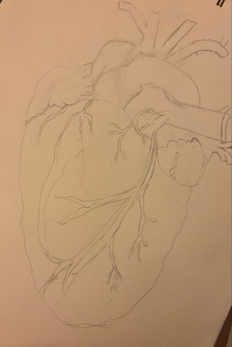 the1wishbone's tweet photo. Attempting something new, inspired by a song from #foundheaven (I wonder if anyone can guess what the song is 🤔). #conangray https://t.co/CD1e0zl3Fa