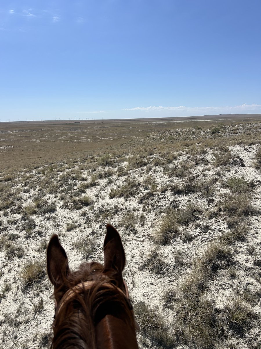 McmathJimmy3's tweet photo. A random picture I took looking for bulls from the rim of a salt lake looking back to my hq. which can be seen if you enlarge the https://t.co/KF32BvgyyK can see that we desperately need a rain. We got a little shower today but it won’t do much till we get a soaker. #prayforrain https://t.co/9pe8bQvVog