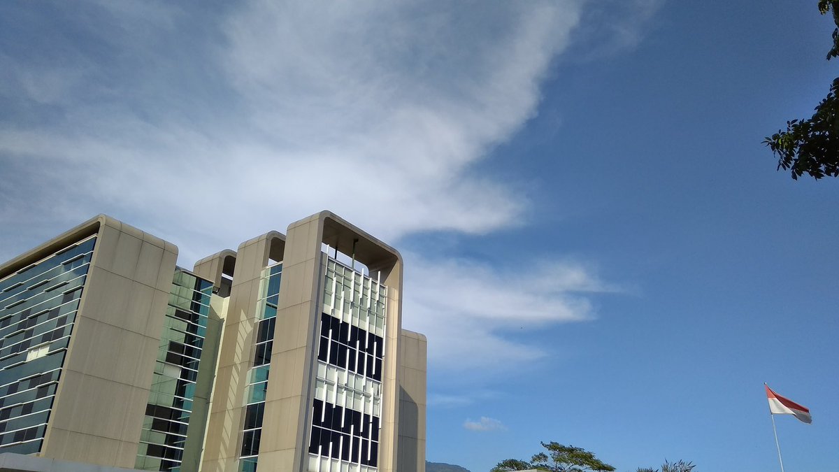 tinyandtemp tweet picture