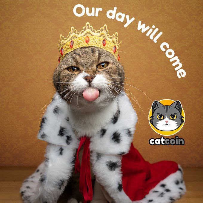 catcoinspace's tweet photo. listed on 
top100 token

https://t.co/2VITjz1TK7

coinsniper 

https://t.co/j2tnun3hy9 https://t.co/1fmI6vKOhu
