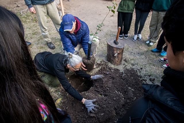era_verde_'s tweet photo. 🌳 REFUERZAN LA PLANTACIÓN DE ÁRBOLES NATIVOS EN ESCUELAS DE PARANÁ

👇🏼+ info 🪴
🔗 https://t.co/sXugLxOYM6 https://t.co/BhXQzZrafz