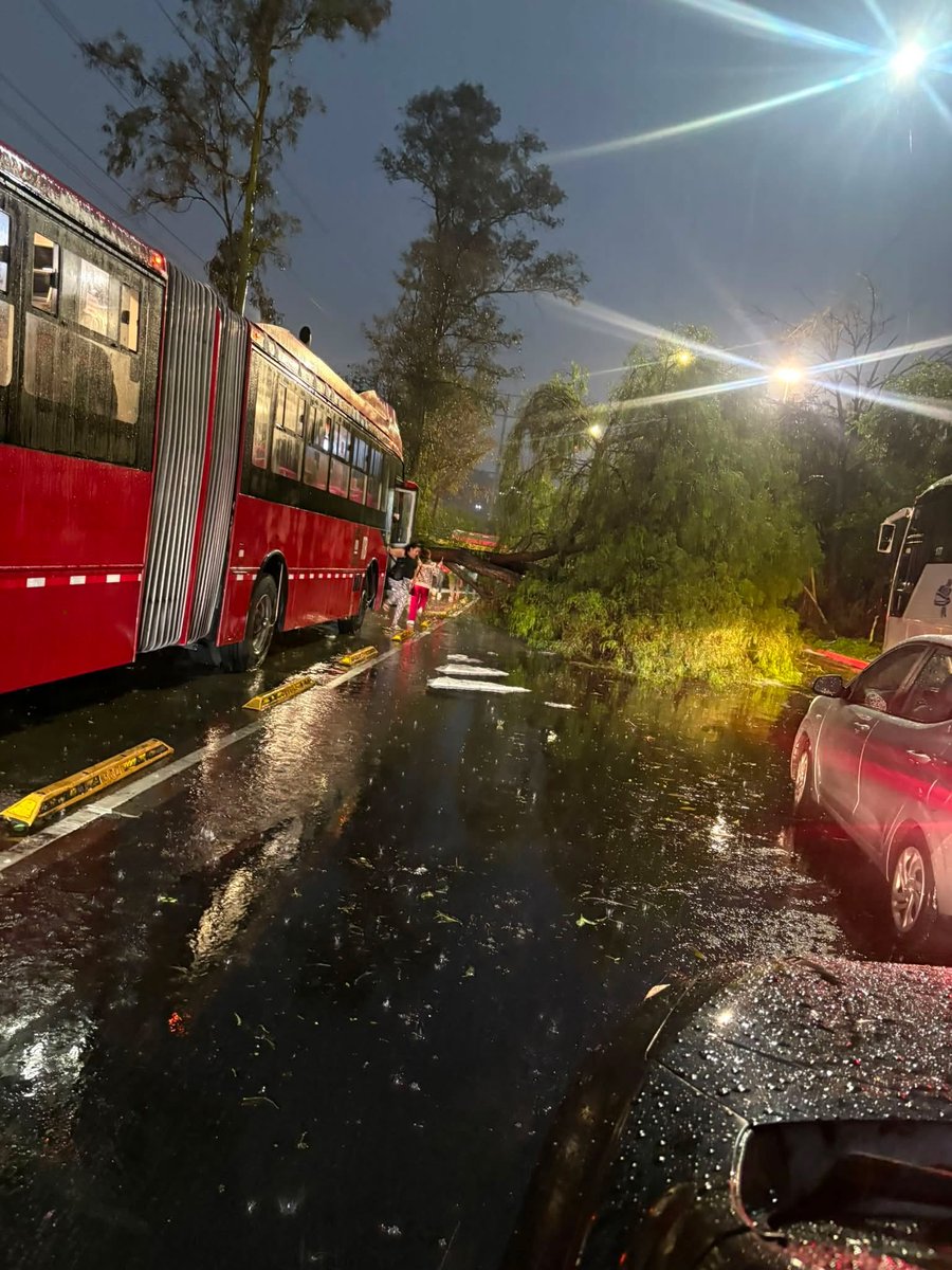 AlcaldiaGam's tweet photo. #Importante | Árbol caído sobre Insurgentes pasando 18 de Marzo. la vialidad sobre la avenida principal está suspendida. El servicio de Metrobús opera parcialmente. https://t.co/D7YlJ57WO8