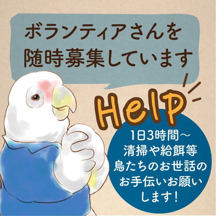 TSUBASA6077's tweet photo. 【ボランティア様随時募集！】
TSUBASAで暮らす鳥たちのお世話をお手伝いしてくださるボランティアの方を募集しております。
1日はもちろん、半日のご参加でも大歓迎です！
詳細、お申し込みはこちら↓
https://t.co/FyI4ykP8Xf https://t.co/FNlrXcZmsn