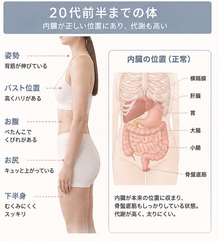 menoura_dayo's tweet photo. これがこう。
①血糖値スパイク避ける
②腹7.5分目意識
③毎日15分〜30分歩く(夏場でも)
④寝る前に骨盤周りと裏ももほぐす
⑤スクワット30回とプランク30秒する
流石に��臓下垂は治らんけど、10~20年後の保険にはなる。 https://t.co/Nb7HwPOLK0