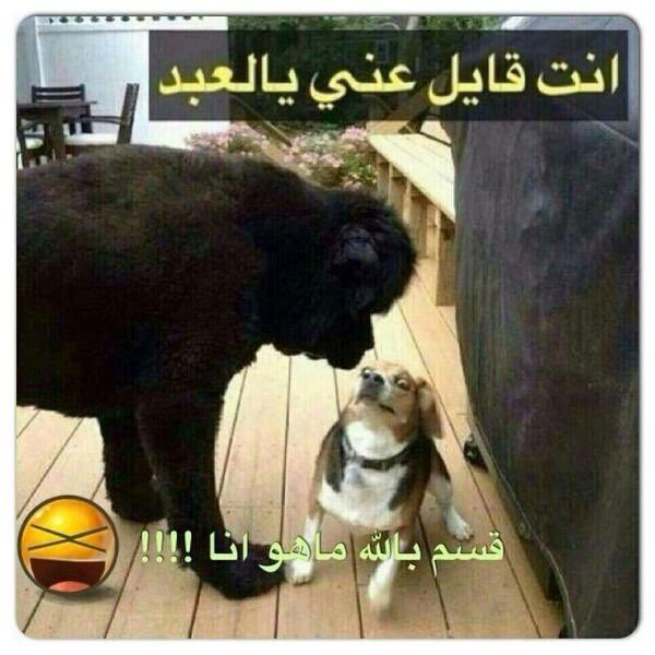 3le_ri's tweet photo. @2_K44 نيفيز https://t.co/ncFNAl4VsU