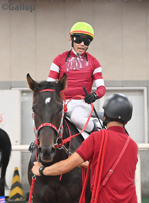 gallop_keiba's tweet photo. 新潟2R、ダートの1800mの新馬戦は3番人気 #リーチツモドライチ が勝利！
父はLife Is Good。 https://t.co/OOyXS9QSpp
