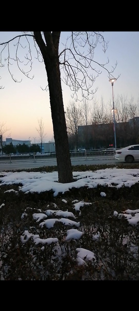 GO_GUMA_35's tweet photo. 新学期启航！带着新目标、满格的元气，奔赴课堂与操场，把日子过成闪光的模样，加油呀各位同学～， https://t.co/LIbeQuDSy1