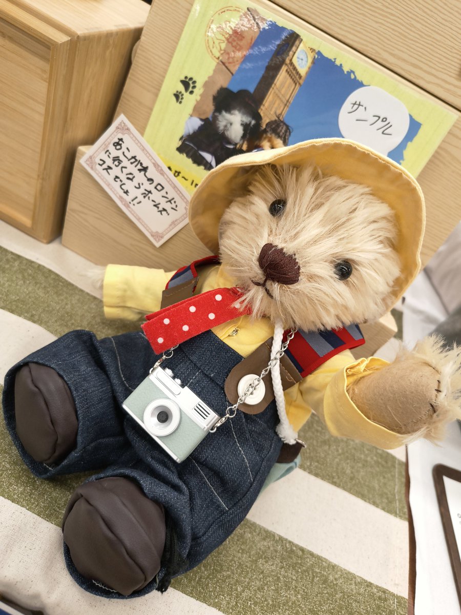 ku_tabi193's tweet photo. ＃ZINEフェス 写真はいよいよ本日です！
設営完了しました！
くーは早起きで最初眠たそうでしたが、撮影時は元気です！
E-10におりますので、是非ともお越しください！ https://t.co/ihoc5DGRHE