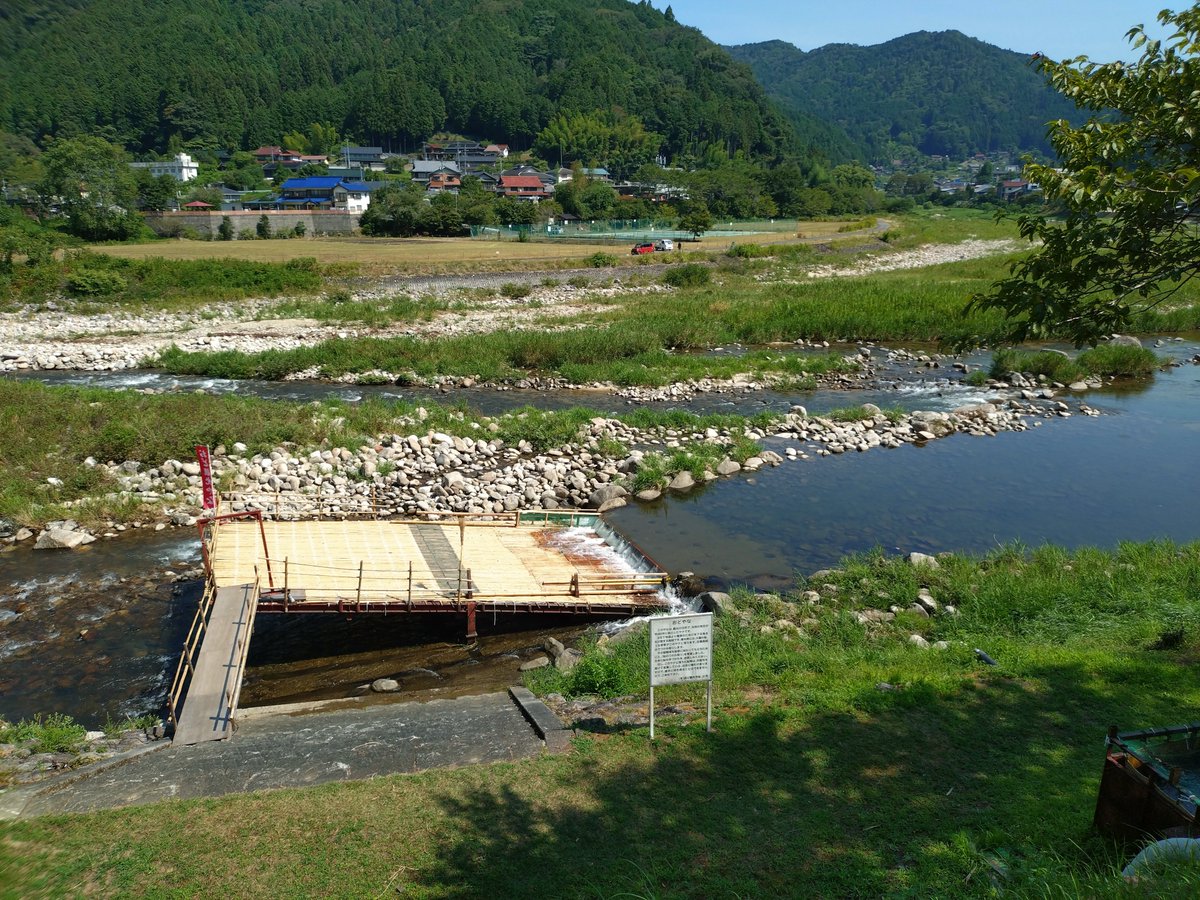 SATAMI88's tweet photo. おど観光やなで鮎つかみ取り初挑戦した。生きた鮎をうまくつかむのに時間がかかった。 https://t.co/qeNBP4Clet