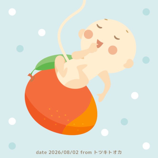 hiro_yt15's tweet photo. 今日からチビちゃんは22週突入♡

22週の壁もクリア𐔌ᵔ ܸ . .ᵔ ꣓
もうマンゴーくらいの大きさなんだねぇ☺️
良かった(*^_^*)
明明後日には検診(  ˶'꒳'˵ )
エコーで早く会いたい🫶

次の検診では性別もはっきり分かるかなぁ💭💕

どっちでも、ママとパパは嬉しいよぉー♡ https://t.co/NBMlVyEMNh