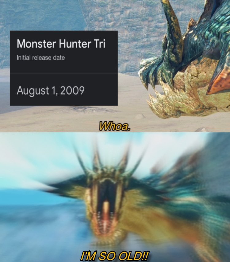 QuirklessStoner's tweet photo. Today is the 17th anniversary for Monster Hunter Tri!! (JP release) https://t.co/5HGy3YWoRP
