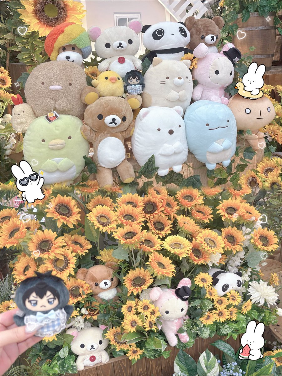 TOBIONYAN22's tweet photo. とびおにゃん、さんえっくすに混ざってた🌻 https://t.co/YEAOZzWldq