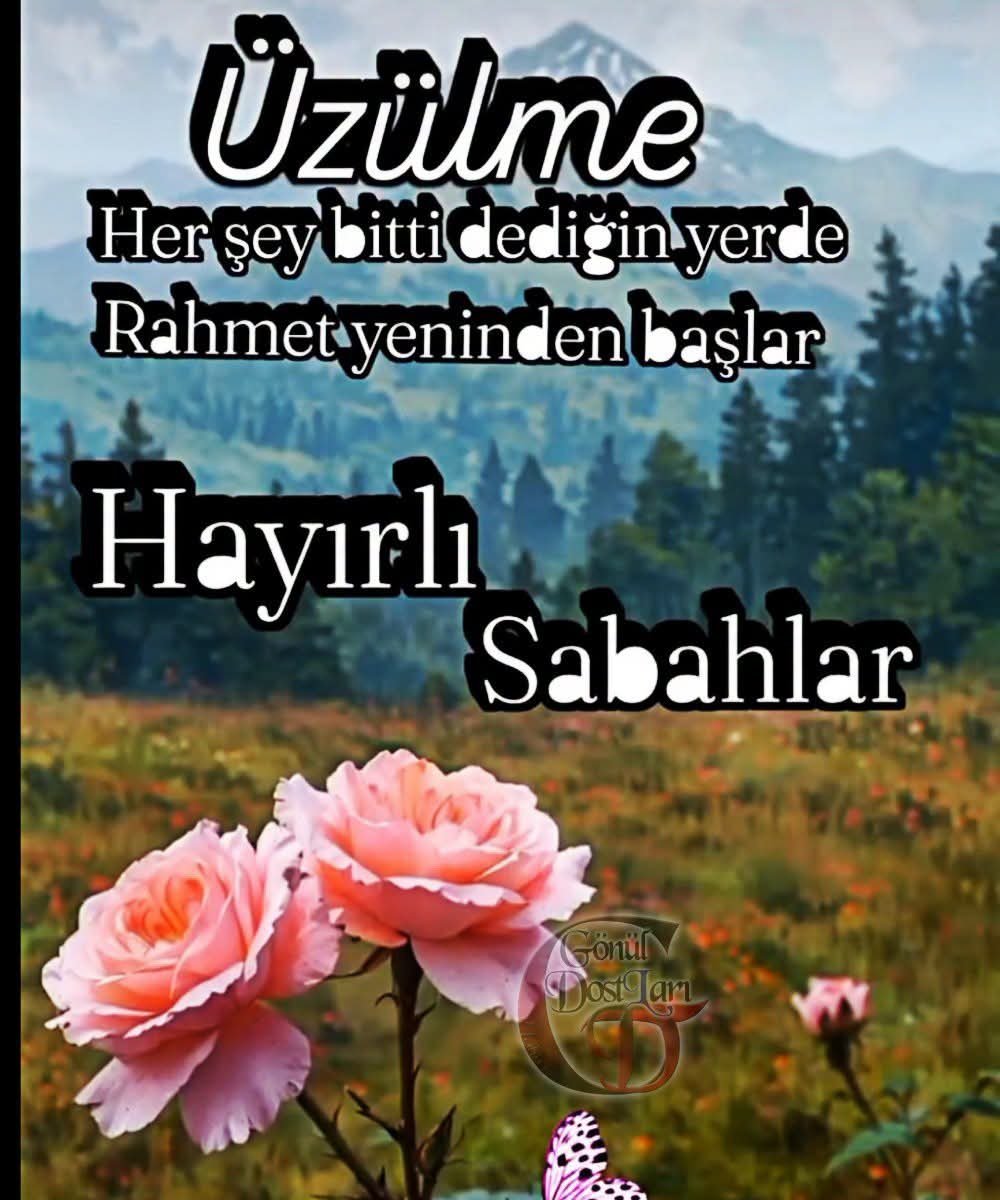 alosmanozcan's tweet photo. @dedesi_y Günaydın 
Hayırlı Sabahlar olsun 
Hayırlı Pazarlar olsun 
İnşallahhhhhhhhhhhhh https://t.co/bxyN78r4w2