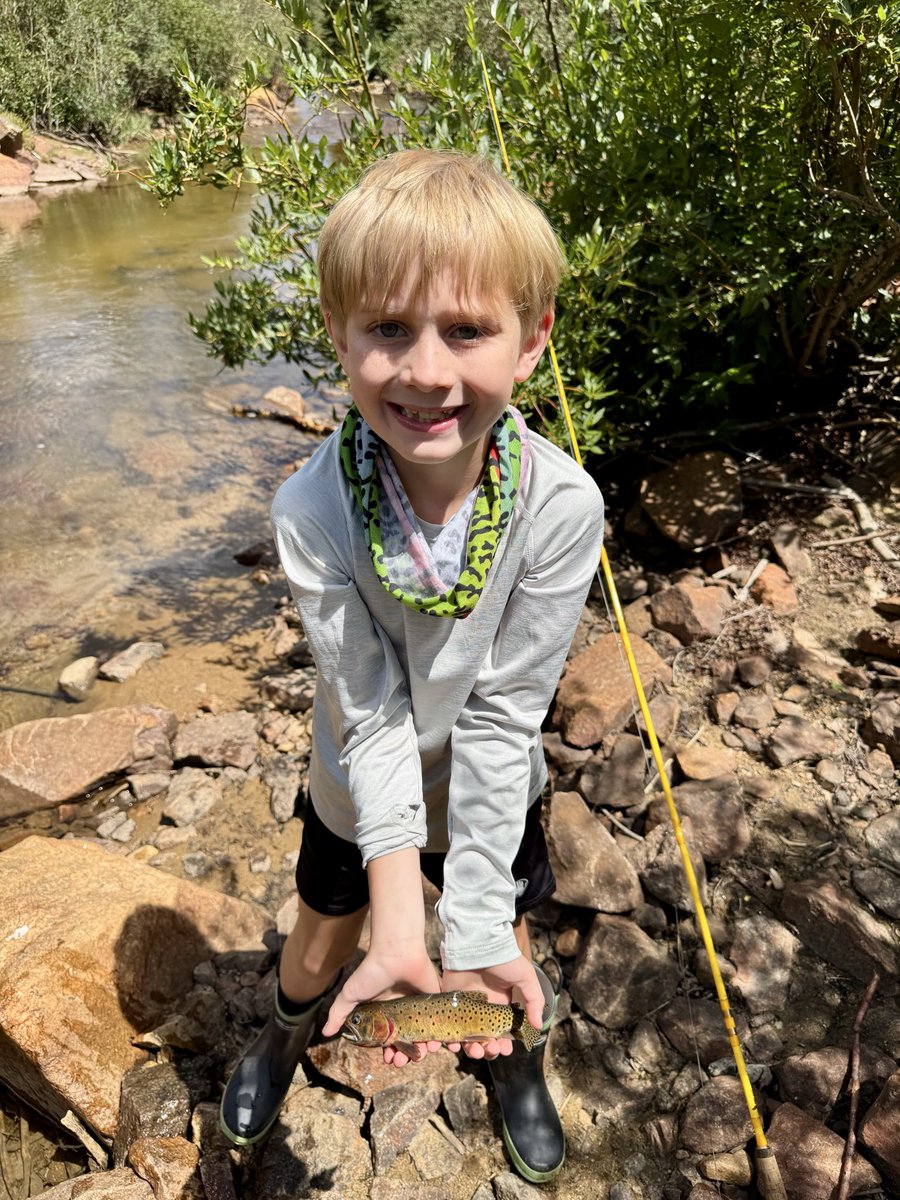 MatthewCPerry's tweet photo. I think it’s time to get my little fly fisherman some waders…… He is only 9 years old and caught 13 cutthroat trout in Clear Creek today. 

#flyfishing #colorado #Tightlines

@simmsfishing @OrvisFlyFishing @froggtoggs @Paramount_Gear @Cabelas @BassProShops @FoundryFishing https://t.co/DGMRBfcSMe