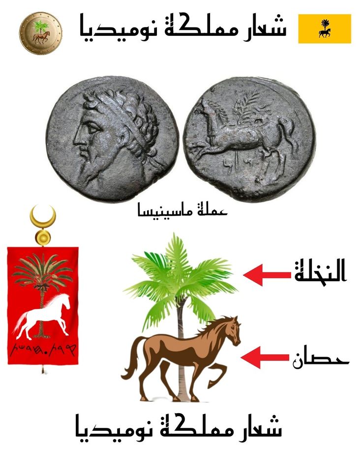 J2a_Alien's tweet photo. مملكة نوميديا - 🇩🇿
200 ق.م - 46 ق.م

تشير الدلائل أنهم عرب ، تشكلوا من إتحاد قبلي (سبئي 🇾🇪 - فينيقي 🇱🇧)

أطلق اليونانين عليهم لقب Νομάδες نوماد - بمعنى البدو - ومنها جائت تسمية المملكة

مثل الفينيقيين إستخدموا شعار:
النخلة 🌴 والخيل العربي 🐎
بإشارة واضحة إلى أصولهم المشرقية https://t.co/1q9enBHvch