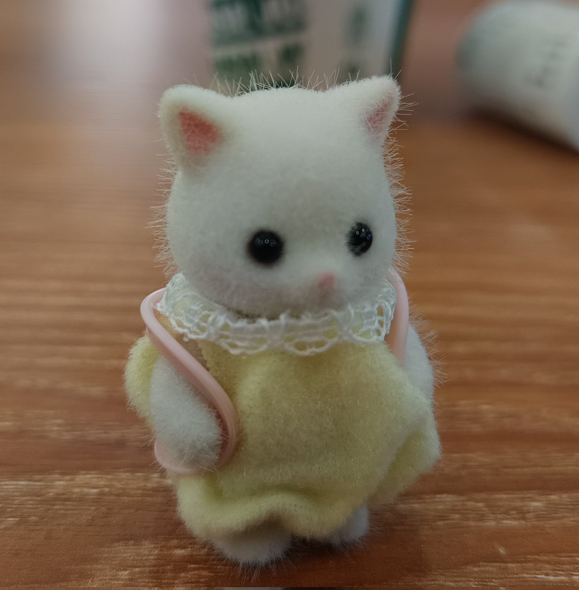 Nnka4n's tweet photo. My little cousin gave me this uewuewue its so cute https://t.co/ElmgtuXYu9