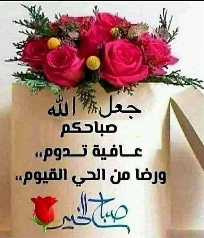 WajeehAzab's tweet photo. https://t.co/LLWwC7tsf9
