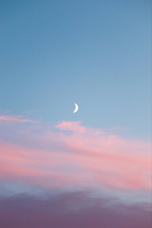 aestheticspost_'s tweet photo. https://t.co/XjeNcIcXig