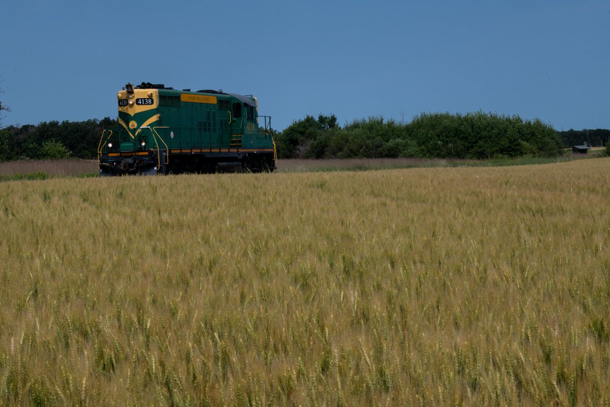 Narakotsu21's tweet photo. 今日から夏休みのため，一路Winnipegへ．郊外にはPrairie Dog Central Railwayなる保存鉄道があるので記念に乗車してきました．珍しく両端駅で機回しがあり，撮影も捗る行程でありがたいことでしたす．ｽﾄﾗｲｷの可能性が迫る中，定時運航のWestjetにも感謝… https://t.co/mcpXtQX93k
