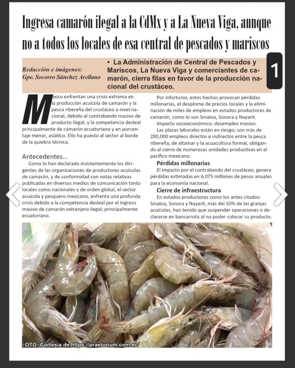 Vientoyveneno's tweet photo. Agradecemos en lo que vale a #NOTIPESCA, la publicación de la nota bajo nuestra pluma:
Ingresa camarón ilegal a la CDMX y la Nueva Viga; no a todos los locales de la Central.
Integramos capturas y enlace a publicación completa.
Interiores pág., 7 a 10.
Gracias por su lectura. https://t.co/EQNFBhptM8