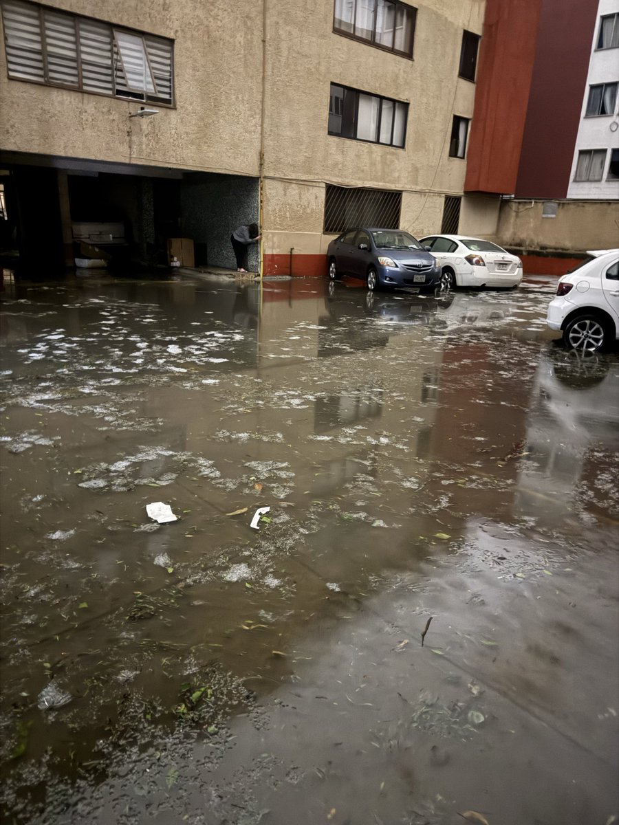 mrlucaPv's tweet photo. Necesitamos en la zona de San José Ticoman, árboles caídos, inundación que se empieza a meter a los domicilios. 
@TuAlcaldiaGAM @C5_CDMX @SGIRPC_CDMX @SEGIAGUA https://t.co/fDGuZQTLOy