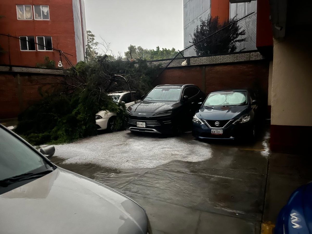 mrlucaPv's tweet photo. Necesitamos en la zona de San José Ticoman, árboles caídos, inundación que se empieza a meter a los domicilios. 
@TuAlcaldiaGAM @C5_CDMX @SGIRPC_CDMX @SEGIAGUA https://t.co/fDGuZQTLOy