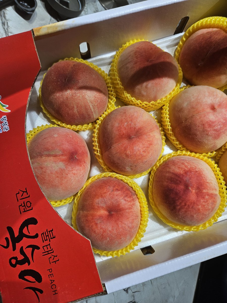 Chosh01081079's tweet photo. 장성군 불태산 복숭아 때깔... 이웃 언니가 아는 분에게 사신 복숭아를 나눠주심. 최근 복숭아 먹은 것 중 최고. 이 계절에만 잠시 먹을 수 있으니 맛있는 복숭아는 너무 소중해. https://t.co/y3Nah1c4qt