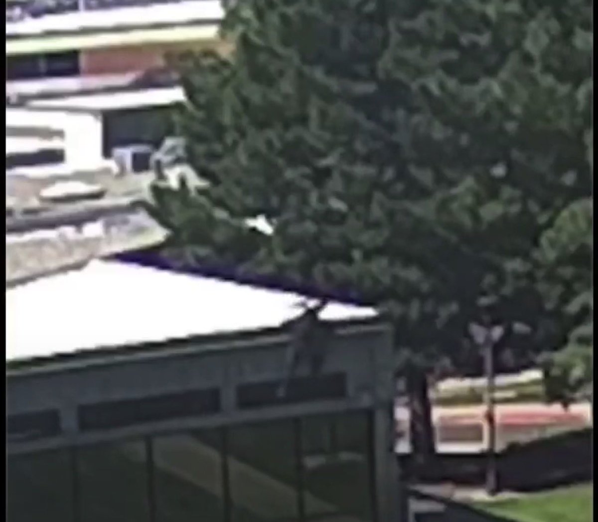 Frozen_Hell_138's tweet photo. @ungovrnable @RobertMencner @Villgecrazylady Your own footage shows a straight line shape as he comes off the roof. If he didn’t have a rifle, why was he limping and what was he doing on the roof? https://t.co/I4jEFbEps7