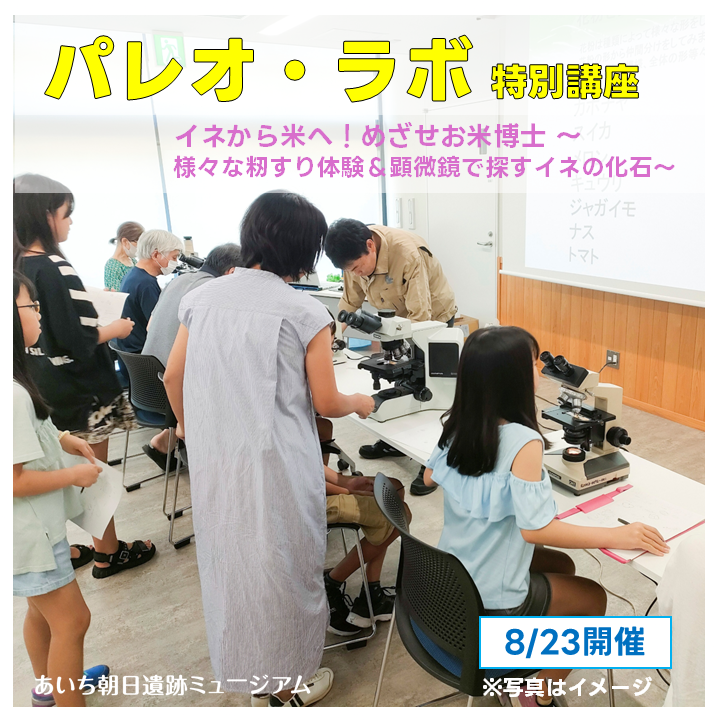 AichiAsahiSite's tweet photo. ８/23（日）はパレオ・ラボによる特別講座Ⅰ「イネから米へ！めざせお米博士 ～様々な籾すり体験＆顕微鏡で探すイネの化石～」を開催します！
ふだん食べているお米について改めて学べるきっかけになるかもしれません。大人の方もぜひ！
#弥生のわくわくワークショップ月間
#夏休み　#イベント
#博物館 https://t.co/gtIPkdHrmy