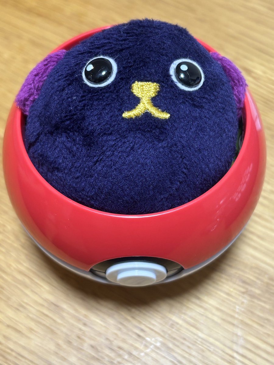 kimsukwon's tweet photo. 黒豆しばゲットだぜ！ https://t.co/t4ZA3Hf8ak