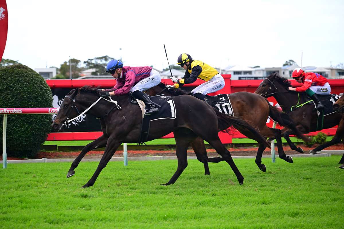 JackBruceRacing's tweet photo. Grinzinger Champ goes back-to-back 💪🏻 

Running them down in the last furlong, Grinzinger Champ showed her class stringing together two Sat Metro wins. 

$115k Inglis Digital buy that has now won $99k since joining the stable. 

Congrats to connections! 🥂🍻

📸 @TracksidePhoto1 https://t.co/hXIn5vB2qt