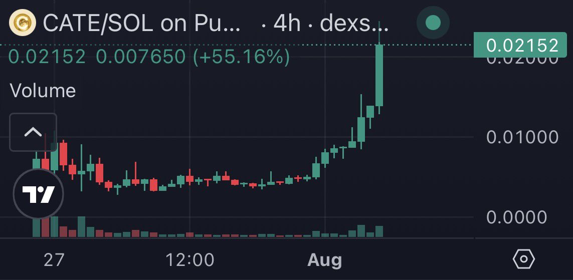 kinqz.sol tweet media